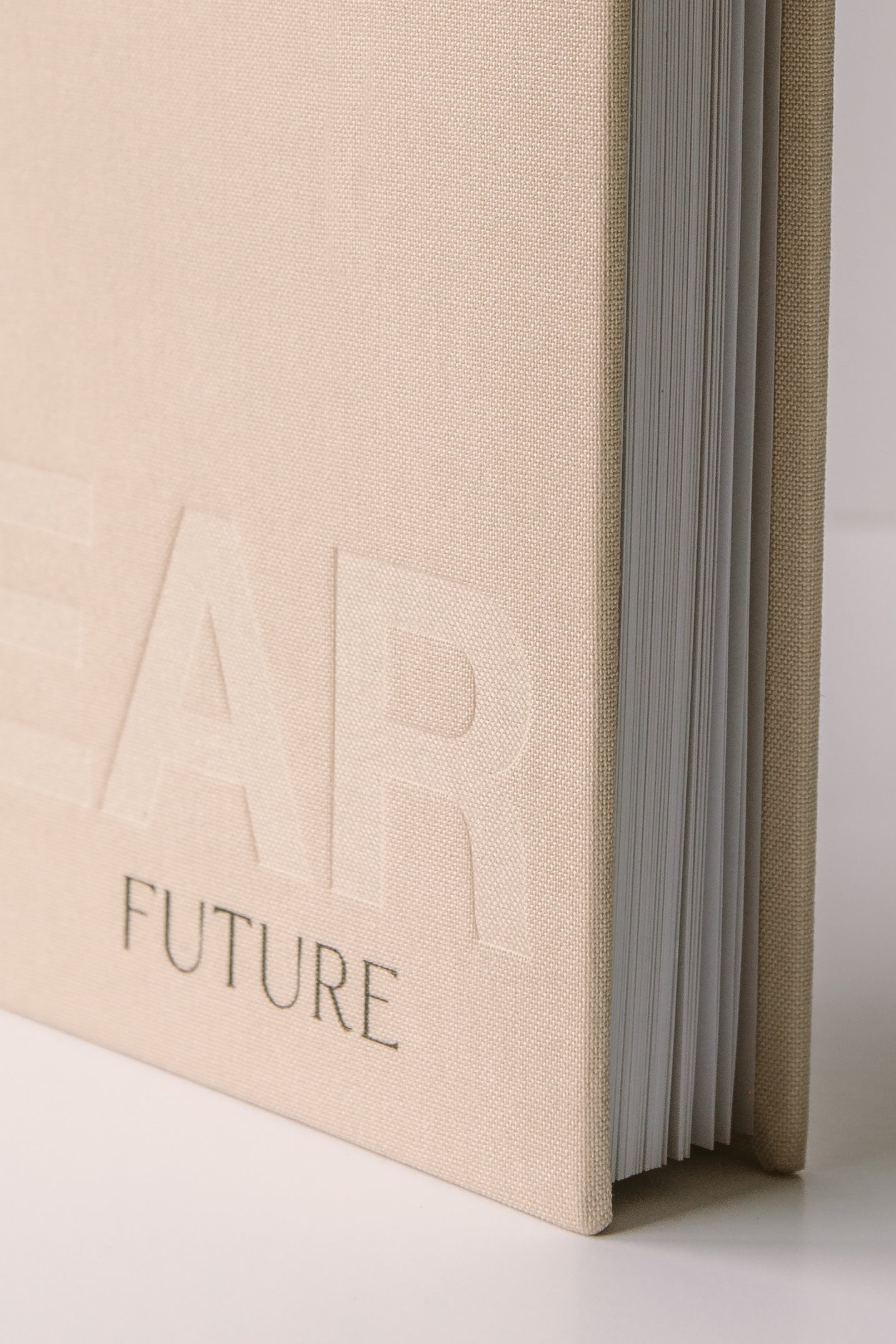 Dear Future Journal